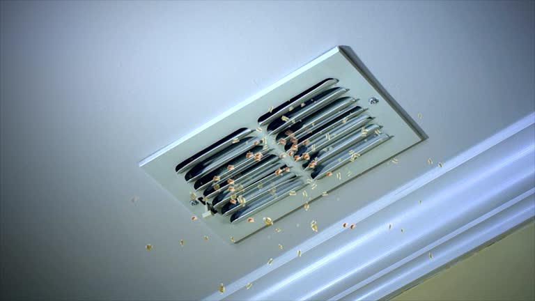 Best Air Duct Cleaning Near Me  in Rio Vista, TX